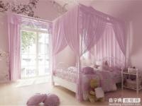 豪華公主臥室效果圖
